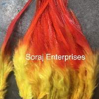 Shades - Long Pointed Natural Feathers