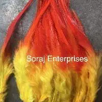 Shades - Long Pointed Natural Feathers