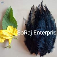 Black - Long Pointed Natural Feathers