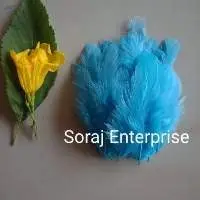 Sky Blue Netural Small Fethers