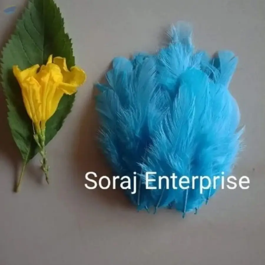 Sky Blue Netural Small Fethers