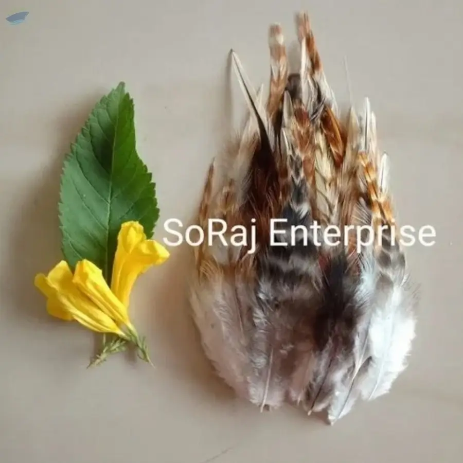 Long- Netural Pointed Feather