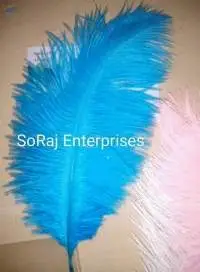 Long - Netural  Ostrich Feathers 7-8 inch
