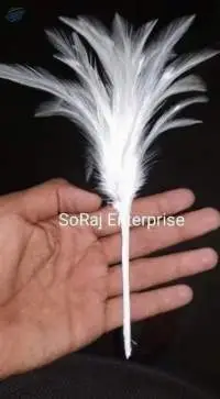 Natural Feathers Stick 3.6 Inch