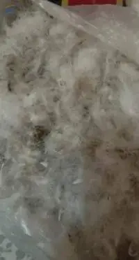 Natural Duck Down Goose Feathers