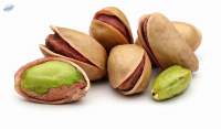 Pistachio Nuts