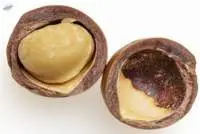 Macadamia Nuts