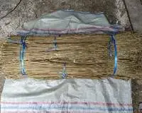 Palm Broomstick