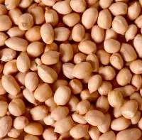 Peanuts