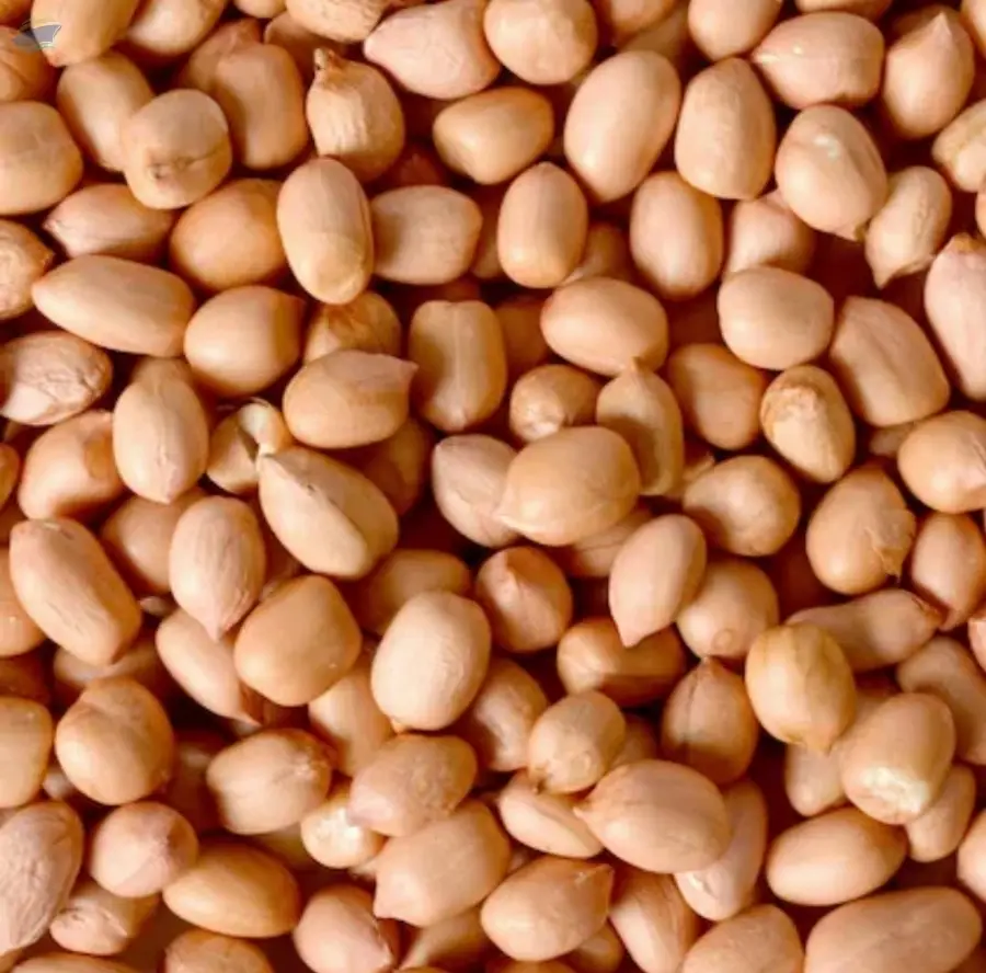Peanuts