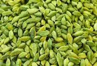 Green Cardamom