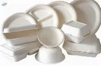Coco pith/peat/Sugarcane Bagasse /Areca plates