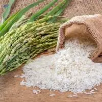 Rice (Basmati)