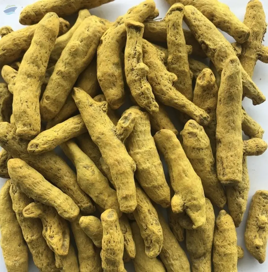 Turmeric