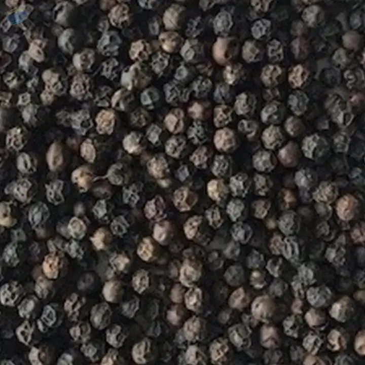 Black Pepper - TGSEB