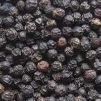 Black Pepper - TGEB