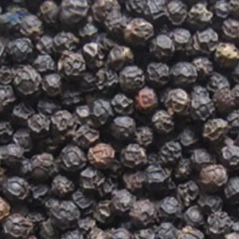 Black Pepper - TGEB