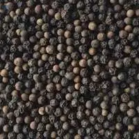 Black Pepper - MG1