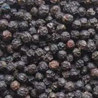 Black Pepper - MUG1