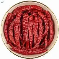 Red Chilli - S17 Teja W/ Stem