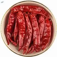 Red Chilli - S4 Sanam W/O Stem