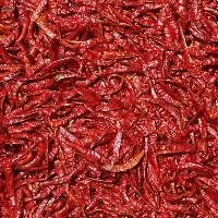 Red Chilli - S273 Wrinkle W/O Stem