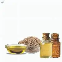 Natural Ajwain Oil