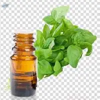 Natural Basil Oil