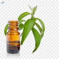 Natural Camphor Oil