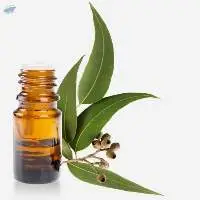 Natural Eucalyptus Oil