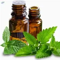 Pepper Mint Oil