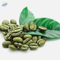 Green Coffee Extract