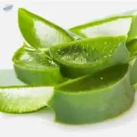 Aloe Vera Extract