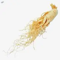 Ginseng Extract