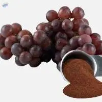 Grape Seed Extract