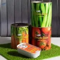 Frozen/Canned Food
