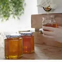 Honey 