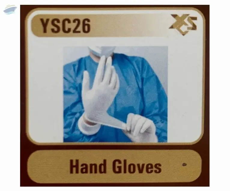 Hand Gloves