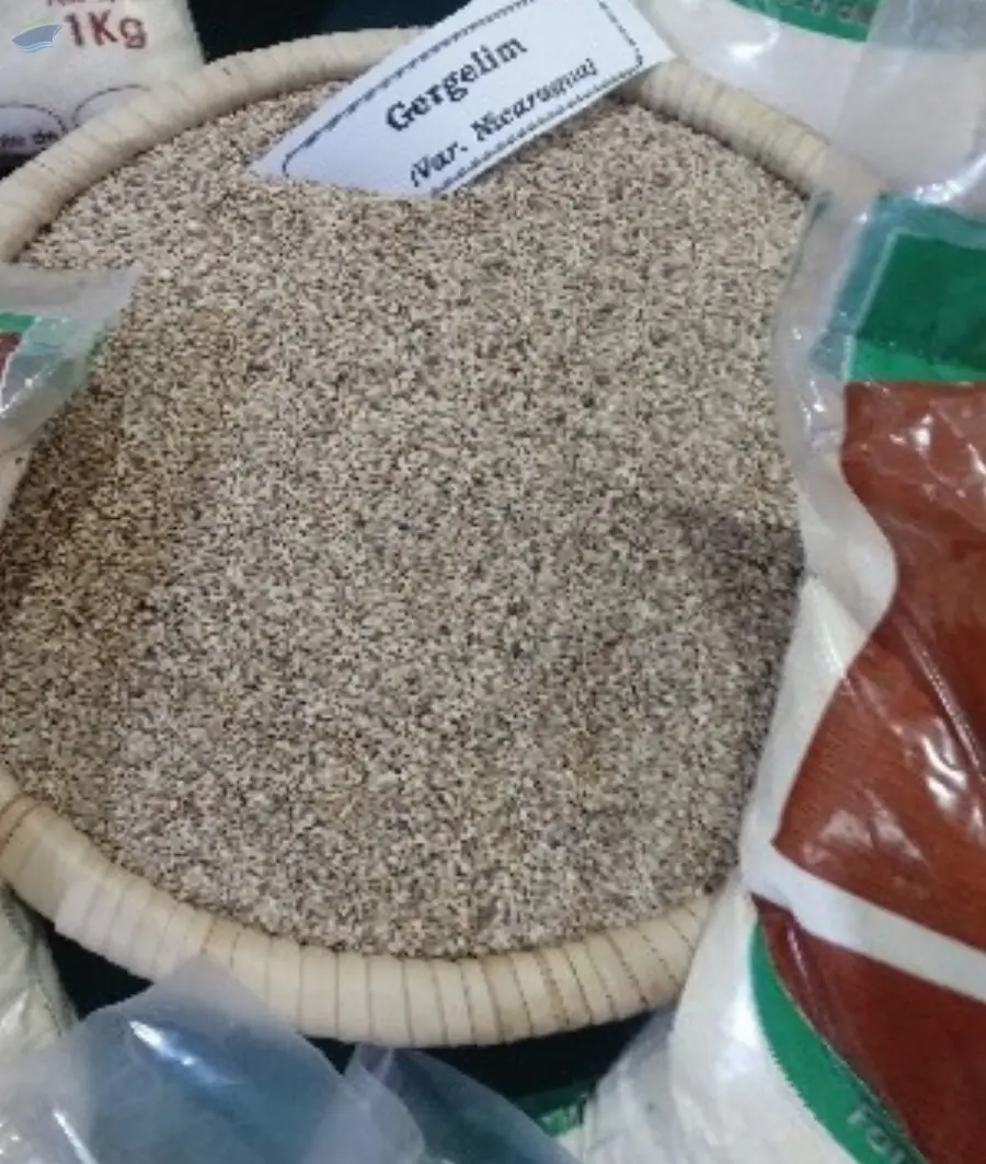 Sesame Seeds by Papel Mozambique Lda. Supplier from Mozambique. Product