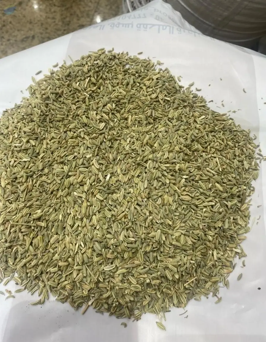 Fennel Seeds by Pan Global Spices General Trading LLC. Supplier from