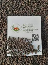 Black Pepper