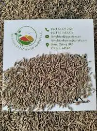Cumin