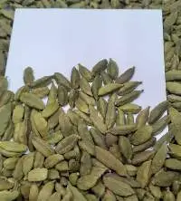 Cardamom
