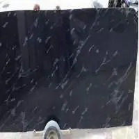Black Fish