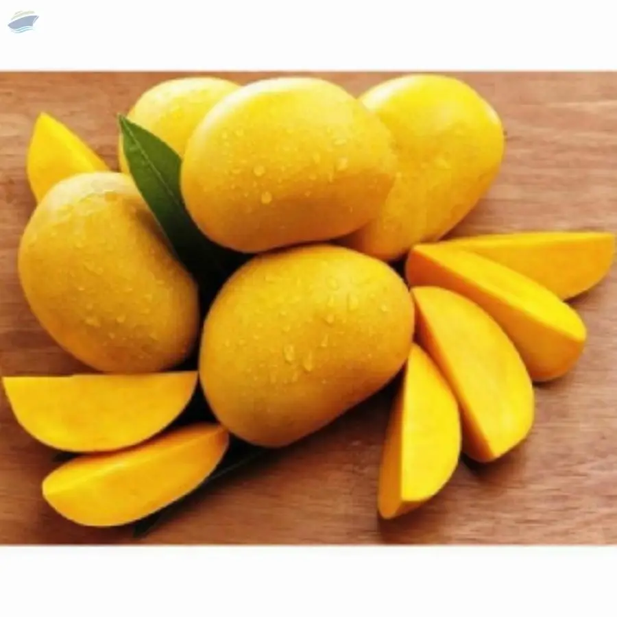 Alphanso Mango