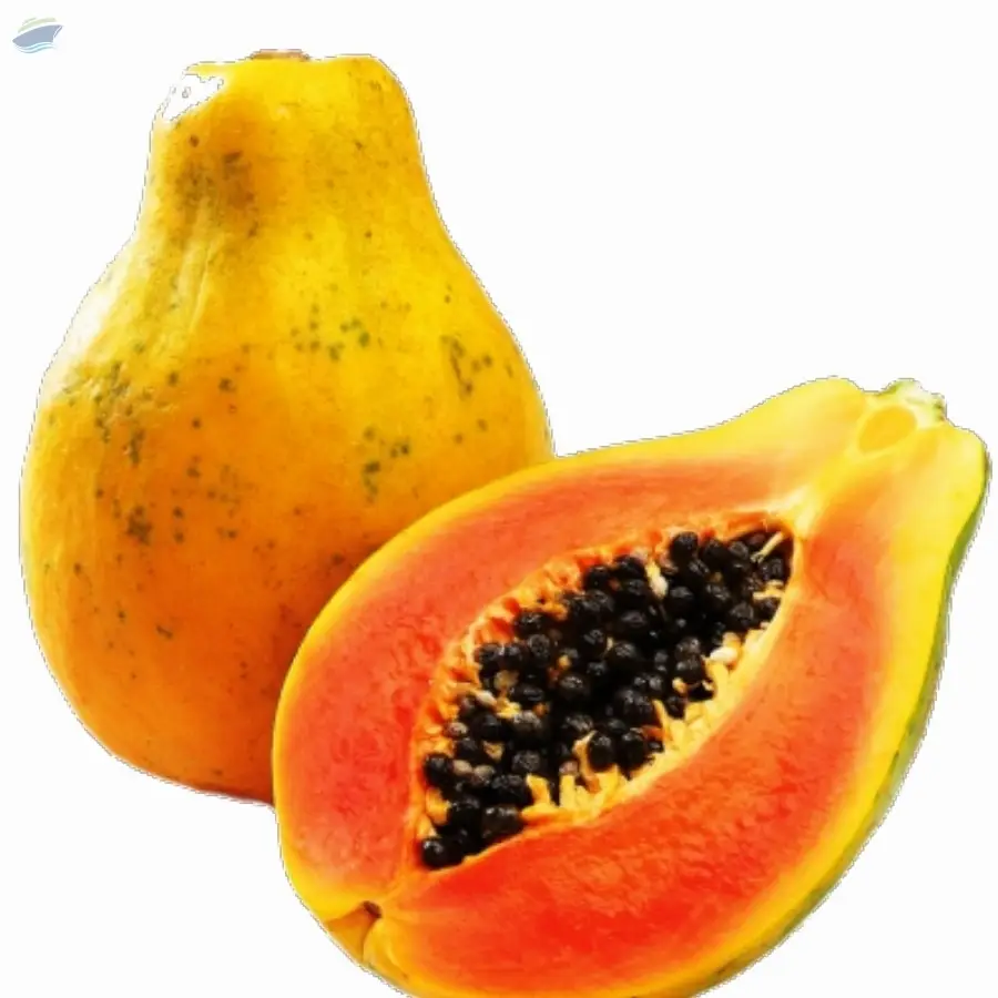 Papaya