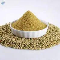 Coriander Powder