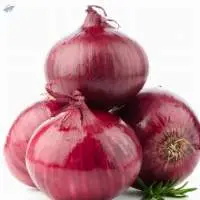 Onion