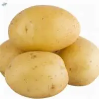 Potato