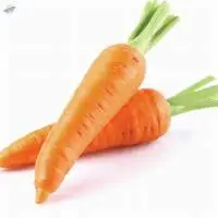 Carrots